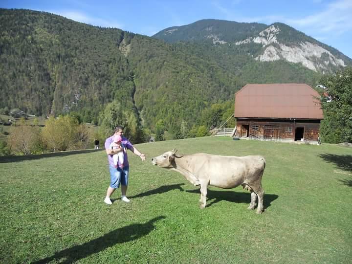 Pensiunea Casa Dobre Măgura Exteriör bild